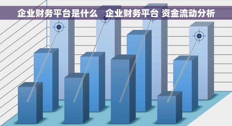 企业财务平台是什么   企业财务平台 资金流动分析