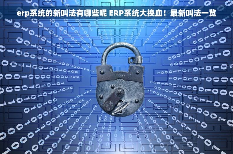 erp系统的新叫法有哪些呢 ERP系统大换血！最新叫法一览