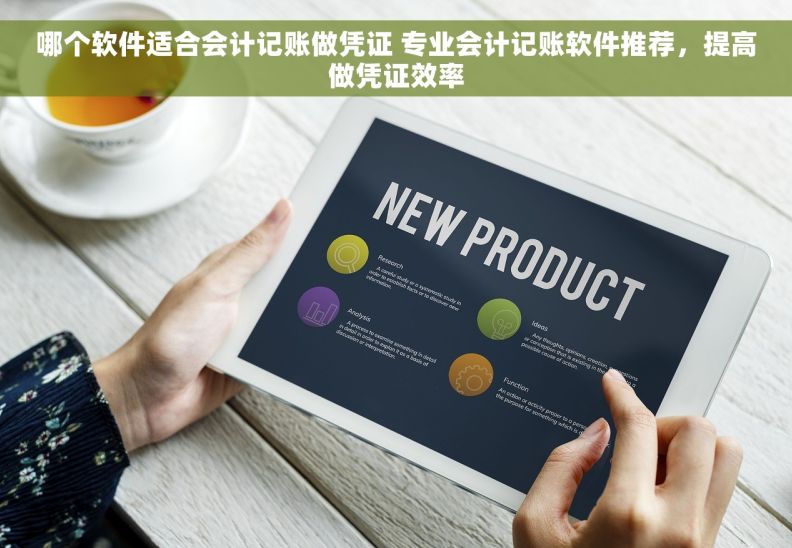 哪个软件适合会计记账做凭证 专业会计记账软件推荐，提高做凭证效率