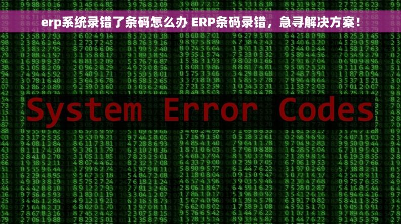 erp系统录错了条码怎么办 ERP条码录错，急寻解决方案！