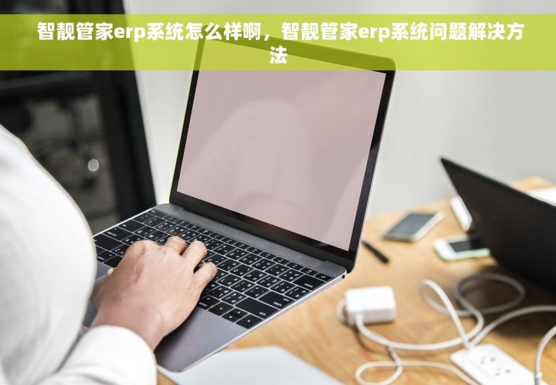  智靓管家erp系统怎么样啊，智靓管家erp系统问题解决方法