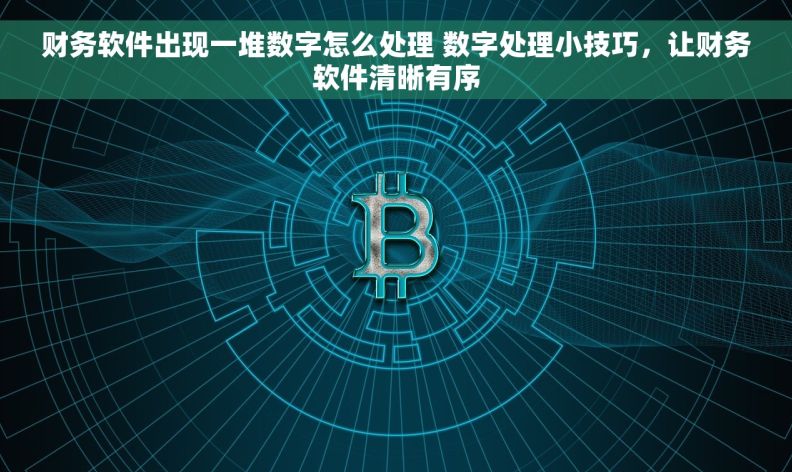 财务软件出现一堆数字怎么处理 数字处理小技巧，让财务软件清晰有序