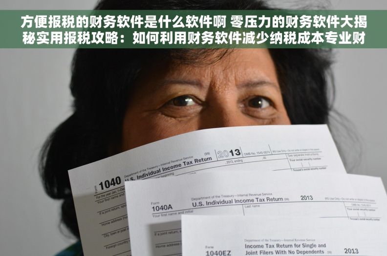 方便报税的财务软件是什么软件啊 零压力的财务软件大揭秘实用报税攻略：如何利用财务软件减少纳税成本专业财税软件推荐