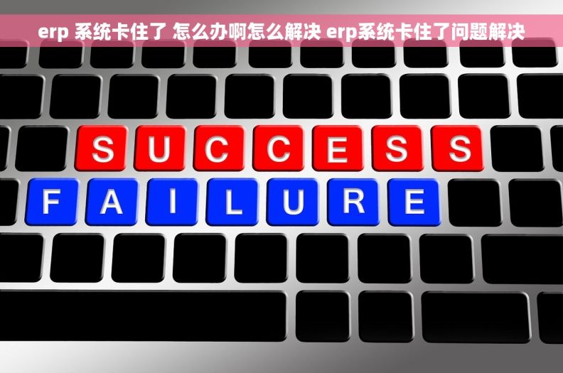 erp 系统卡住了 怎么办啊怎么解决 erp系统卡住了问题解决