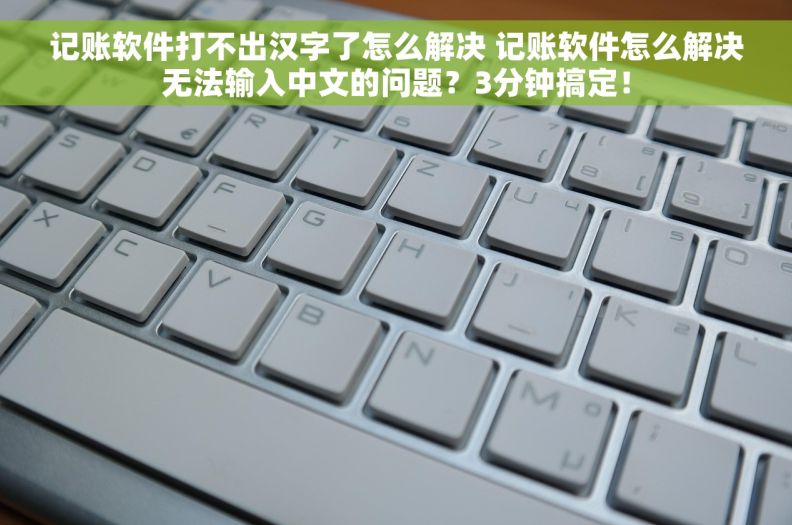 记账软件打不出汉字了怎么解决 记账软件怎么解决无法输入中文的问题？3分钟搞定！