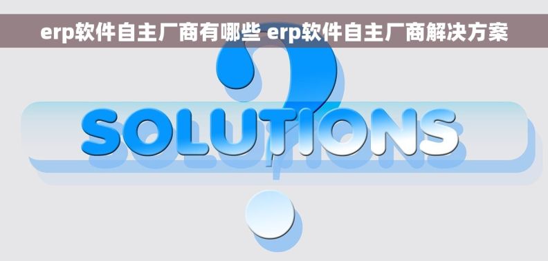 erp软件自主厂商有哪些 erp软件自主厂商解决方案