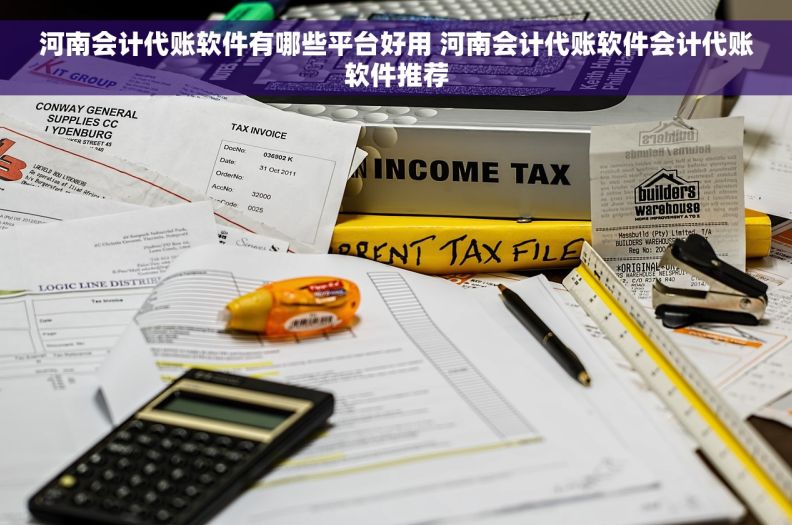 河南会计代账软件有哪些平台好用 河南会计代账软件会计代账软件推荐