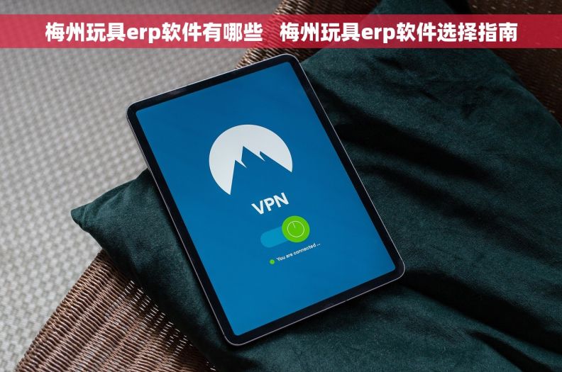 梅州玩具erp软件有哪些   梅州玩具erp软件选择指南