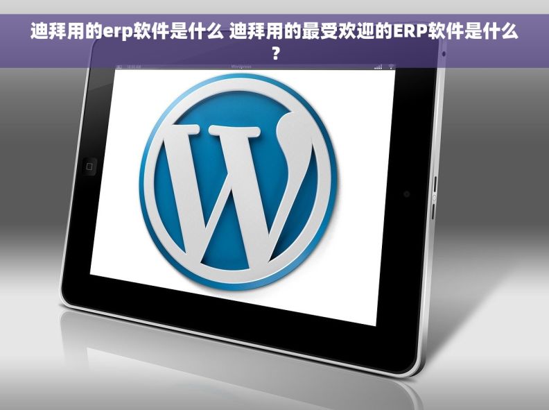 迪拜用的erp软件是什么 迪拜用的最受欢迎的ERP软件是什么？