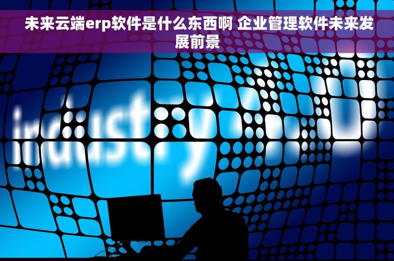  未来云端erp软件是什么东西啊 企业管理软件未来发展前景