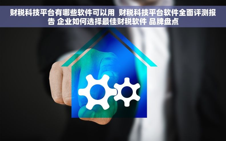 财税科技平台有哪些软件可以用  财税科技平台软件全面评测报告 企业如何选择最佳财税软件 品牌盘点
