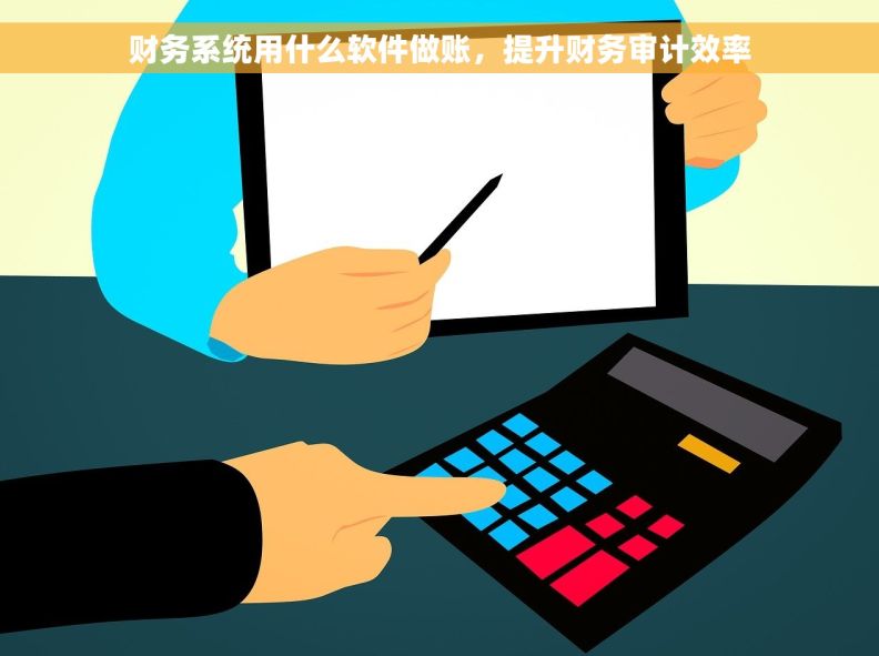 财务系统用什么软件做账，提升财务审计效率