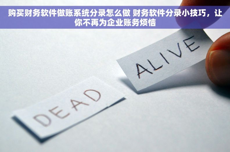 购买财务软件做账系统分录怎么做 财务软件分录小技巧，让你不再为企业账务烦恼