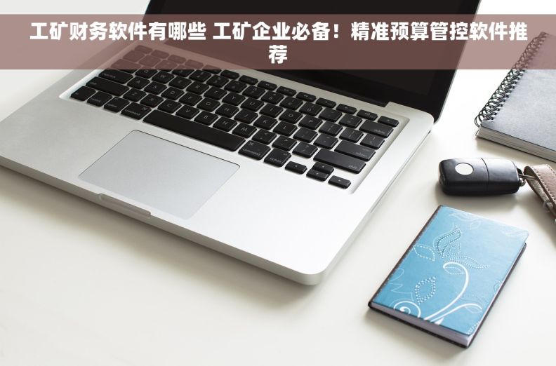 工矿财务软件有哪些 工矿企业必备！精准预算管控软件推荐