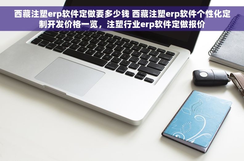西藏注塑erp软件定做要多少钱 西藏注塑erp软件个性化定制开发价格一览，注塑行业erp软件定做报价