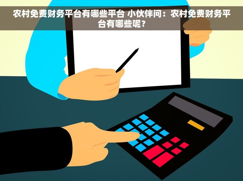 农村免费财务平台有哪些平台 小伙伴问：农村免费财务平台有哪些呢？
