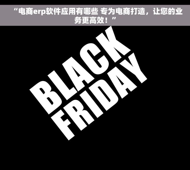 “电商erp软件应用有哪些 专为电商打造，让您的业务更高效！”