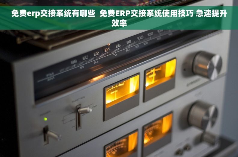 免费erp交接系统有哪些  免费ERP交接系统使用技巧 急速提升效率
