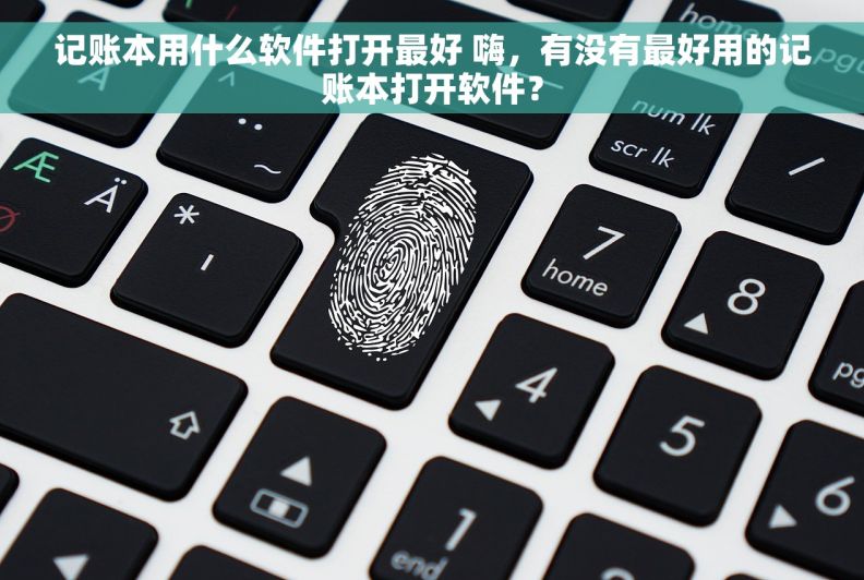 记账本用什么软件打开最好 嗨，有没有最好用的记账本打开软件？