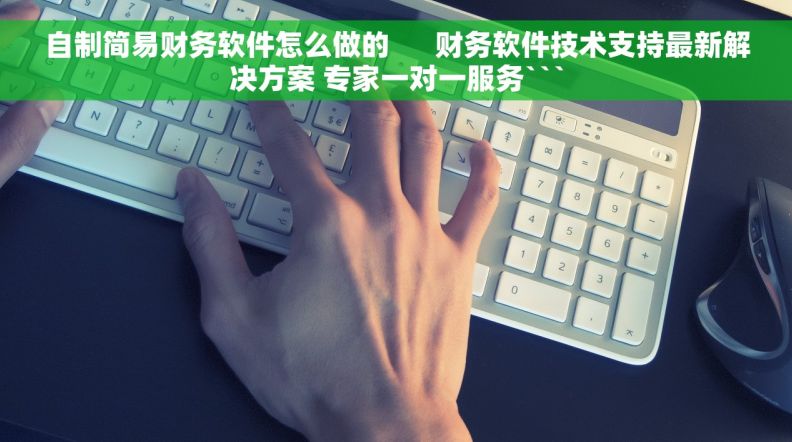 自制简易财务软件怎么做的      财务软件技术支持最新解决方案 专家一对一服务```