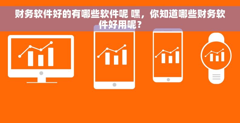 财务软件好的有哪些软件呢 嘿，你知道哪些财务软件好用呢？