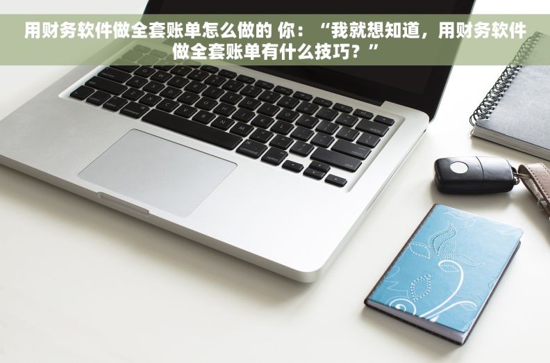 用财务软件做全套账单怎么做的 你：“我就想知道，用财务软件做全套账单有什么技巧？”