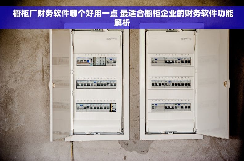  橱柜厂财务软件哪个好用一点 最适合橱柜企业的财务软件功能解析