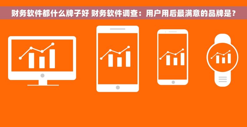 财务软件都什么牌子好 财务软件调查：用户用后最满意的品牌是？