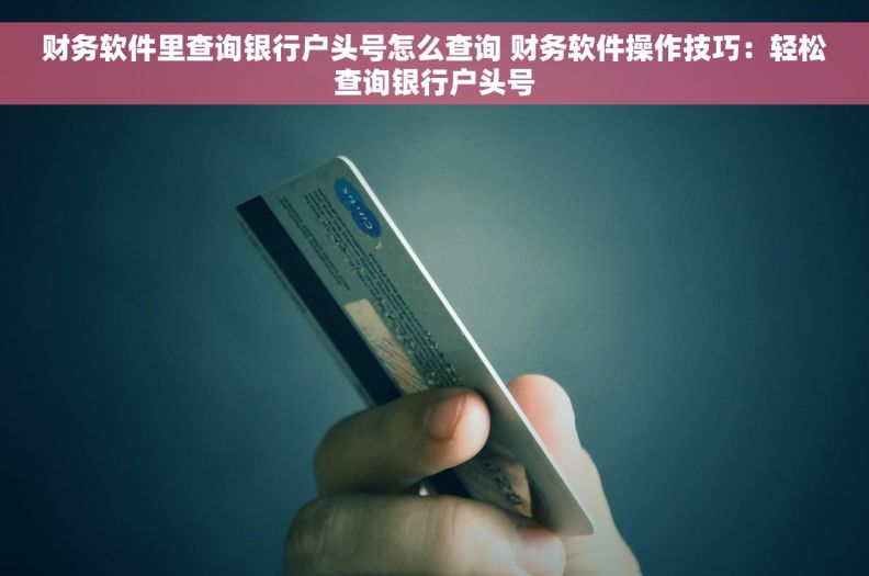 财务软件里查询银行户头号怎么查询 财务软件操作技巧：轻松查询银行户头号