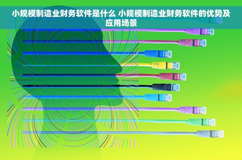 小规模制造业财务软件是什么 小规模制造业财务软件的优势及应用场景