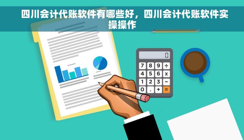   四川会计代账软件有哪些好，四川会计代账软件实操操作