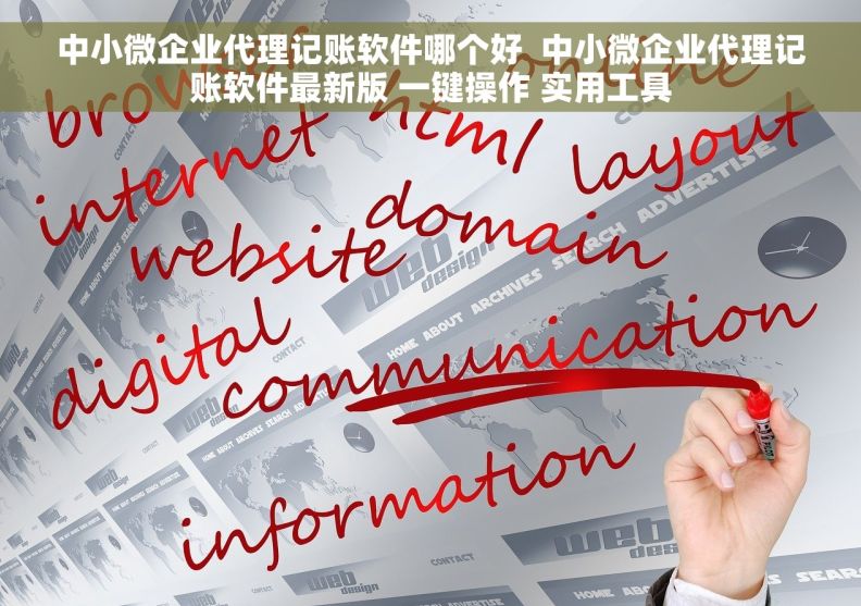 中小微企业代理记账软件哪个好  中小微企业代理记账软件最新版 一键操作 实用工具