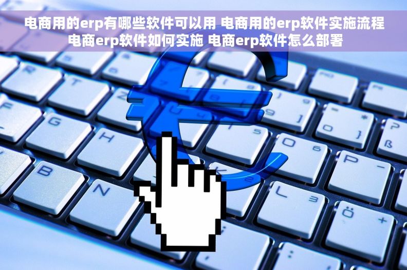 电商用的erp有哪些软件可以用 电商用的erp软件实施流程 电商erp软件如何实施 电商erp软件怎么部署