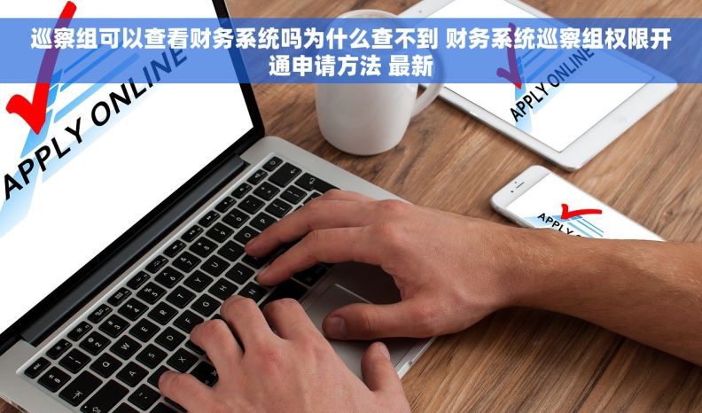 巡察组可以查看财务系统吗为什么查不到 财务系统巡察组权限开通申请方法 最新