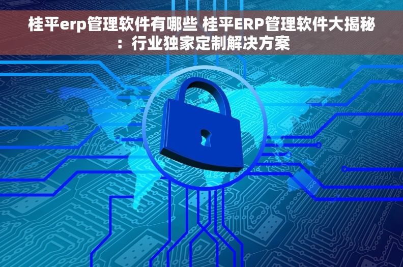 桂平erp管理软件有哪些 桂平ERP管理软件大揭秘：行业独家定制解决方案