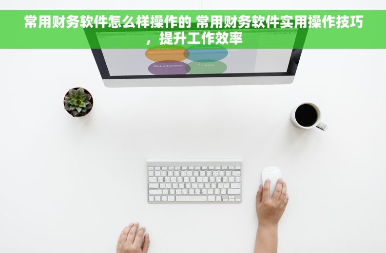 常用财务软件怎么样操作的 常用财务软件实用操作技巧，提升工作效率