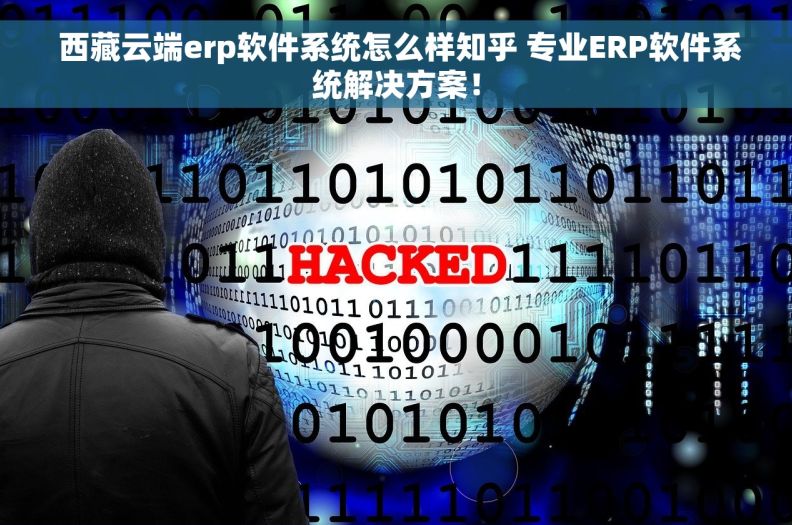  西藏云端erp软件系统怎么样知乎 专业ERP软件系统解决方案！