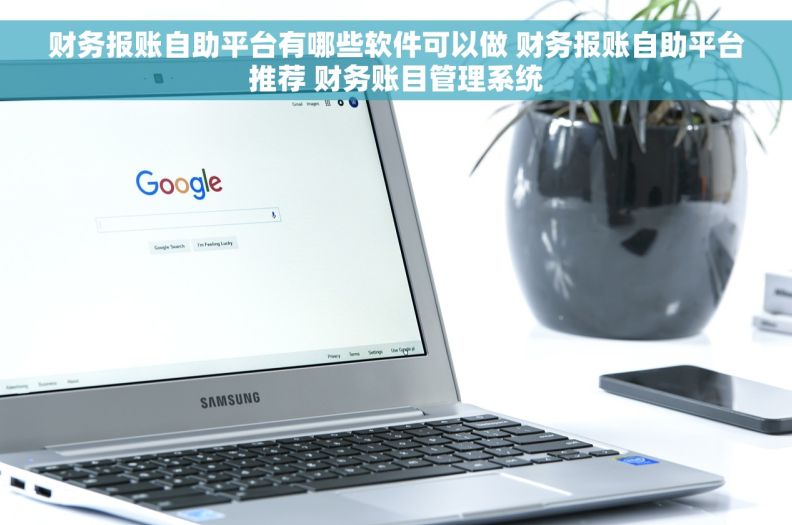 财务报账自助平台有哪些软件可以做 财务报账自助平台推荐 财务账目管理系统