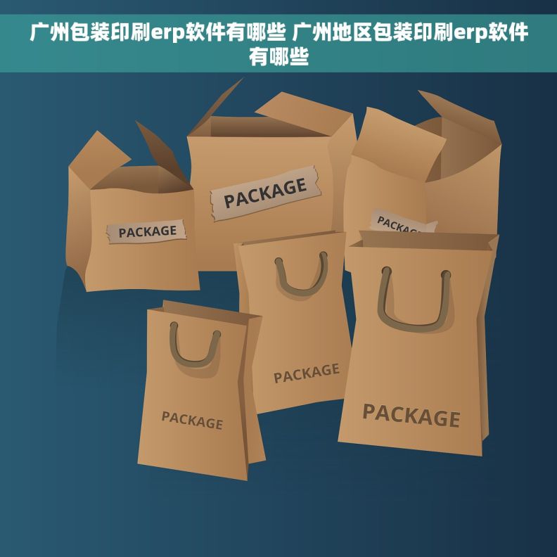 广州包装印刷erp软件有哪些 广州地区包装印刷erp软件有哪些