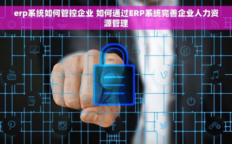erp系统如何管控企业 如何通过ERP系统完善企业人力资源管理