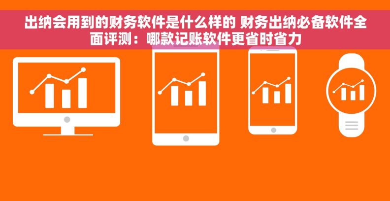 出纳会用到的财务软件是什么样的 财务出纳必备软件全面评测：哪款记账软件更省时省力