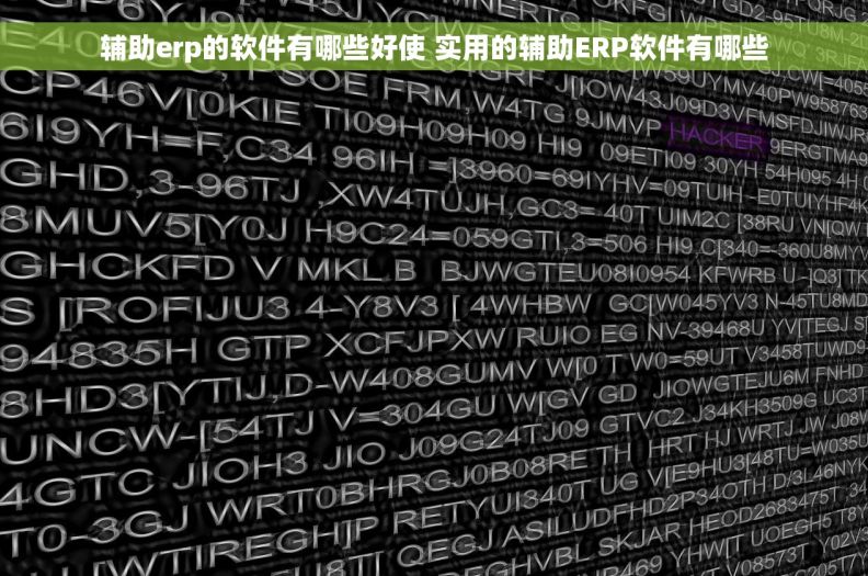 辅助erp的软件有哪些好使 实用的辅助ERP软件有哪些