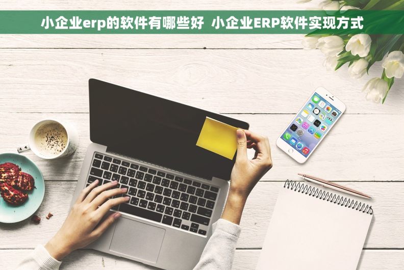 小企业erp的软件有哪些好  小企业ERP软件实现方式