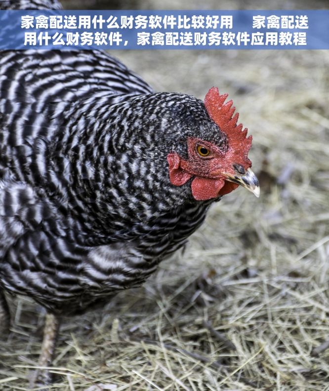家禽配送用什么财务软件比较好用     家禽配送用什么财务软件，家禽配送财务软件应用教程