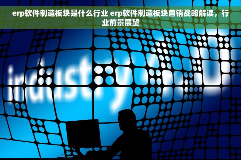 erp软件制造板块是什么行业 erp软件制造板块营销战略解读，行业前景展望