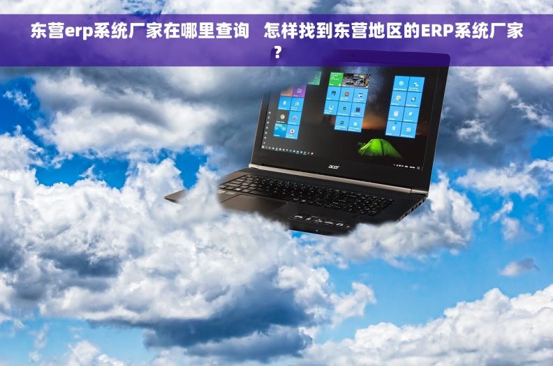 东营erp系统厂家在哪里查询   怎样找到东营地区的ERP系统厂家？