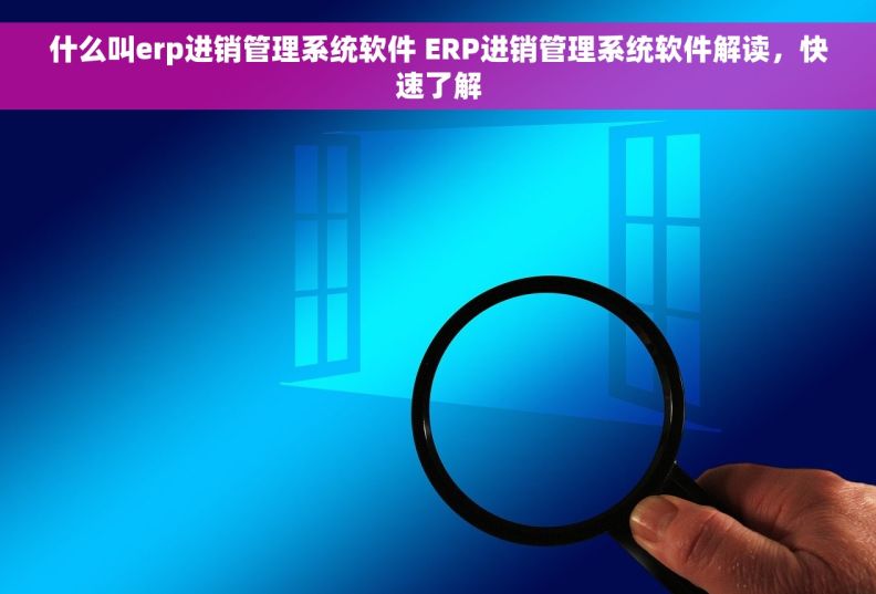 什么叫erp进销管理系统软件 ERP进销管理系统软件解读，快速了解