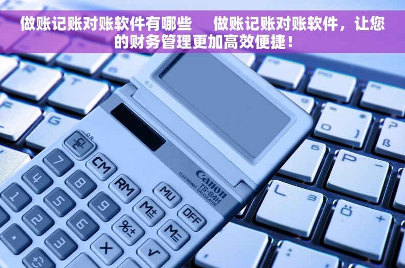 做账记账对账软件有哪些     做账记账对账软件，让您的财务管理更加高效便捷！