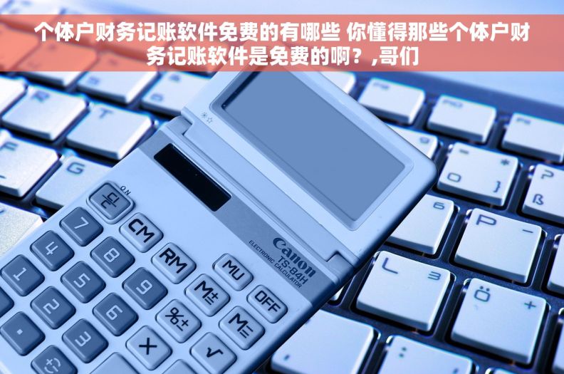个体户财务记账软件免费的有哪些 你懂得那些个体户财务记账软件是免费的啊？,哥们