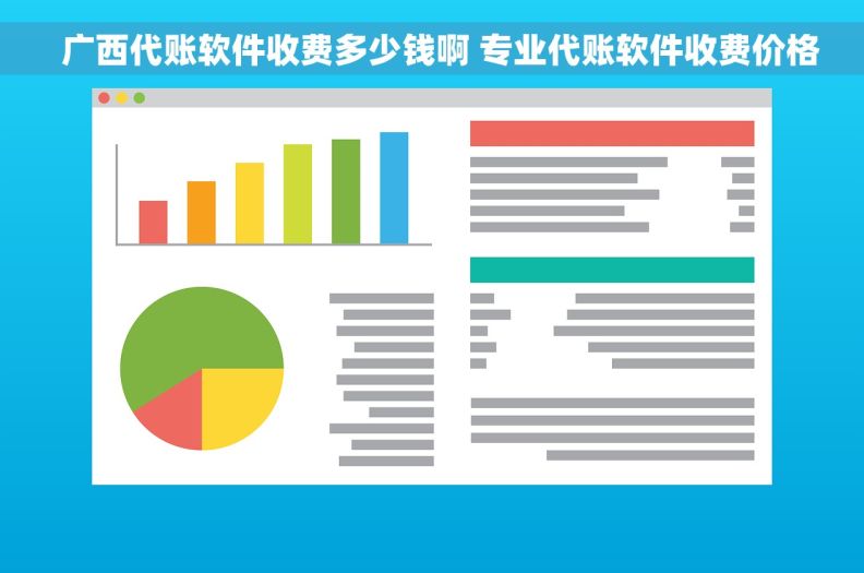   广西代账软件收费多少钱啊 专业代账软件收费价格